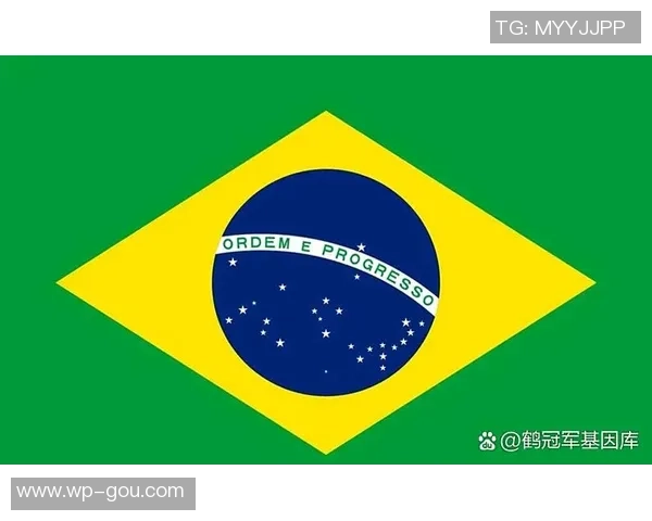 世界杯巴西对阵德国的比赛10元投注能赢得多少奖金解析 世界杯巴西对阵德国的比赛10元投注能赢得多少奖金解析