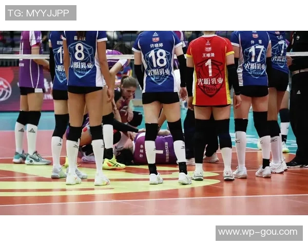 外援领衔，新人主打！天津女排抛弃王艺竹陈博雅等人，联赛大换血