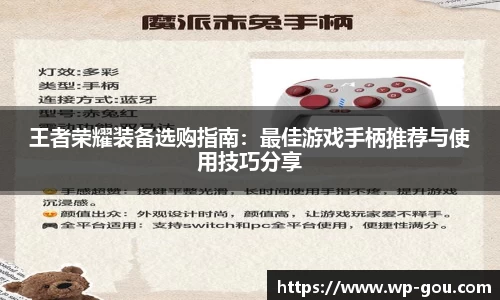 王者荣耀装备选购指南：最佳游戏手柄推荐与使用技巧分享