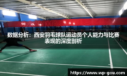 数据分析：西安羽毛球队运动员个人能力与比赛表现的深度剖析