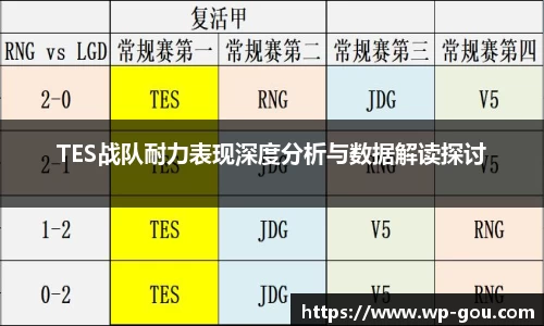 TES战队耐力表现深度分析与数据解读探讨