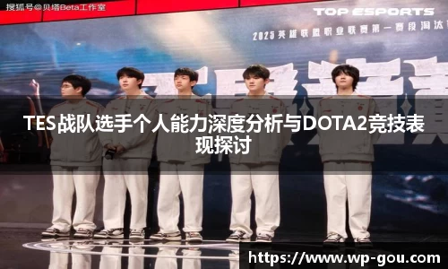 TES战队选手个人能力深度分析与DOTA2竞技表现探讨